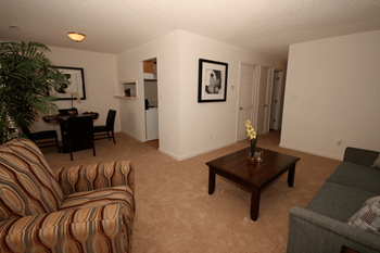 Plush carpeting
